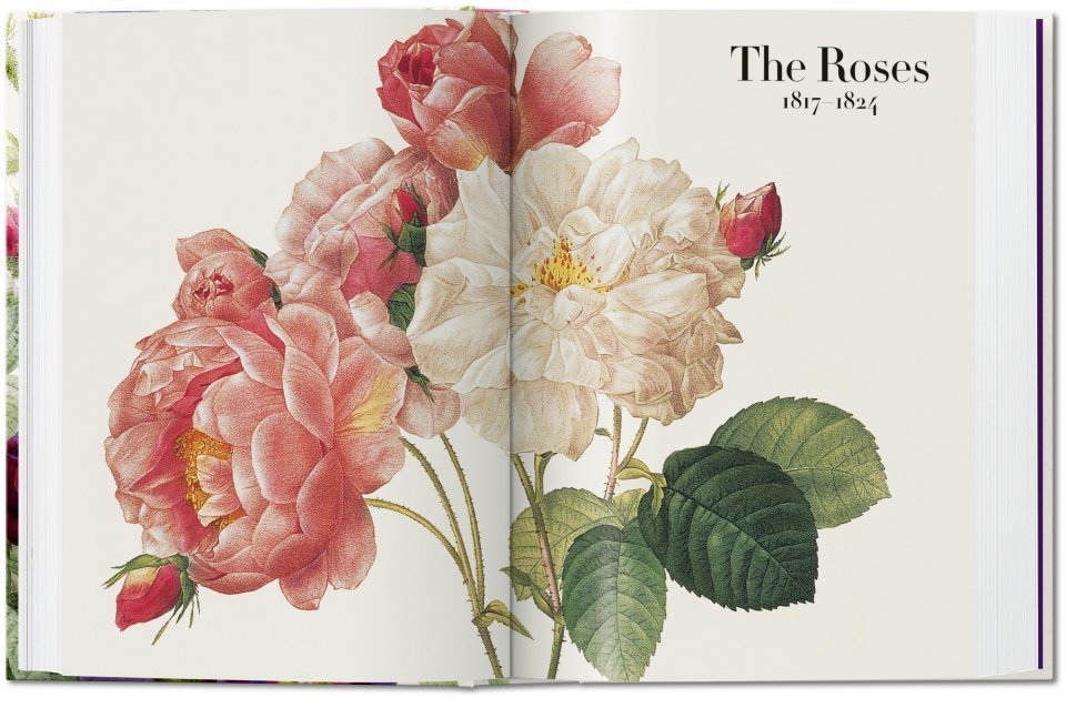Redouté. The Book of Flowers.