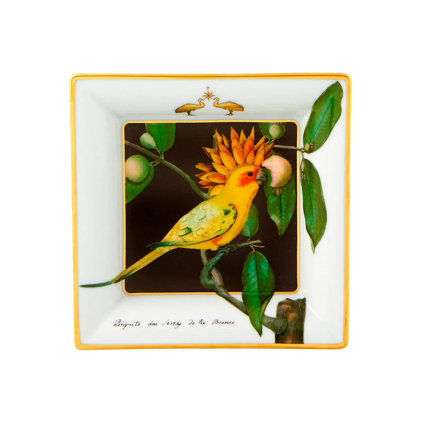 Amazonia Small Square Tray