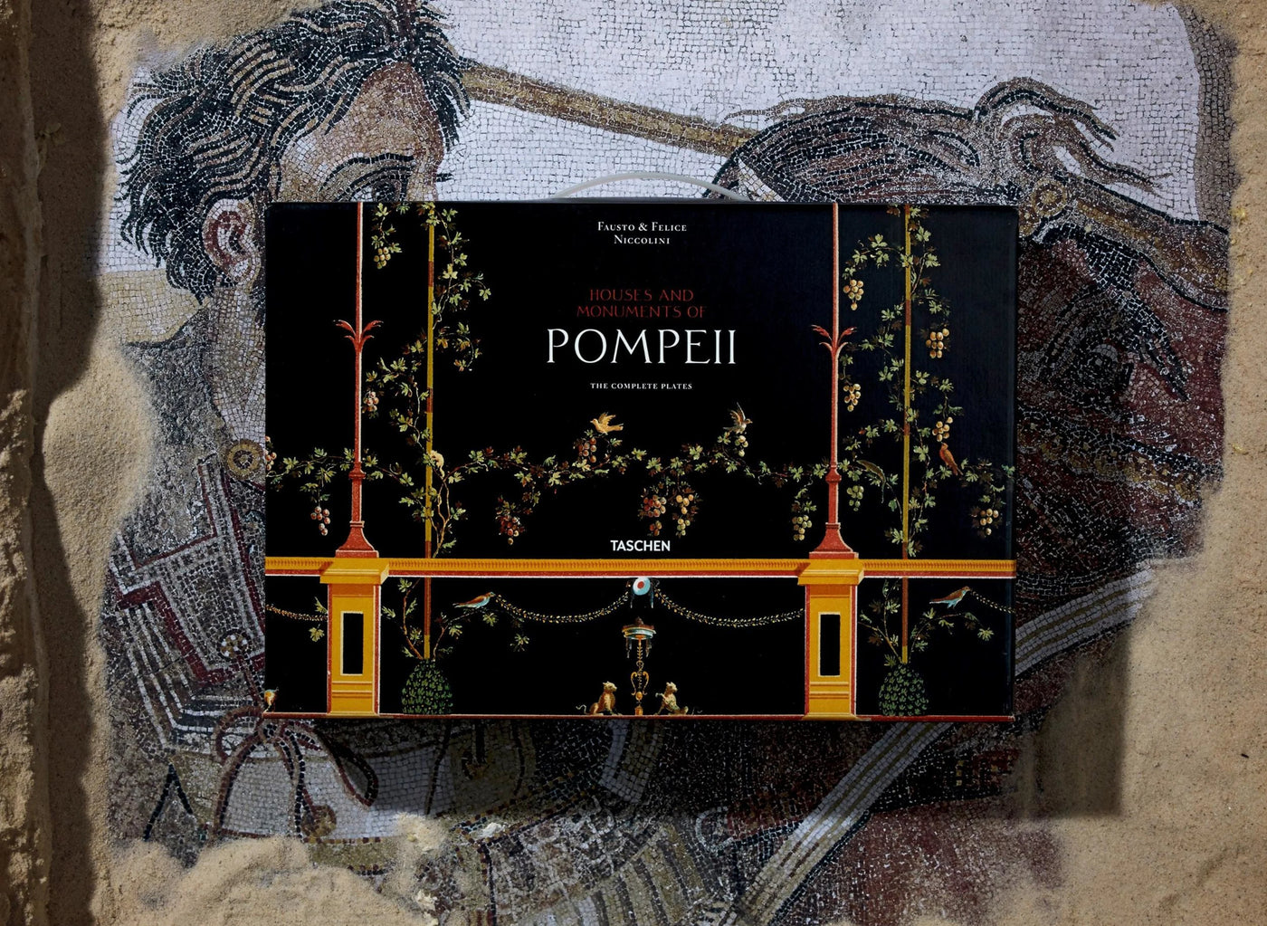 Houses and Monuments of Pompeii
