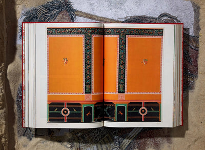 Houses and Monuments of Pompeii