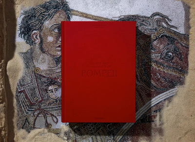 Houses and Monuments of Pompeii