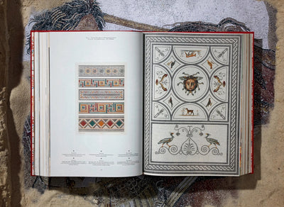 Houses and Monuments of Pompeii