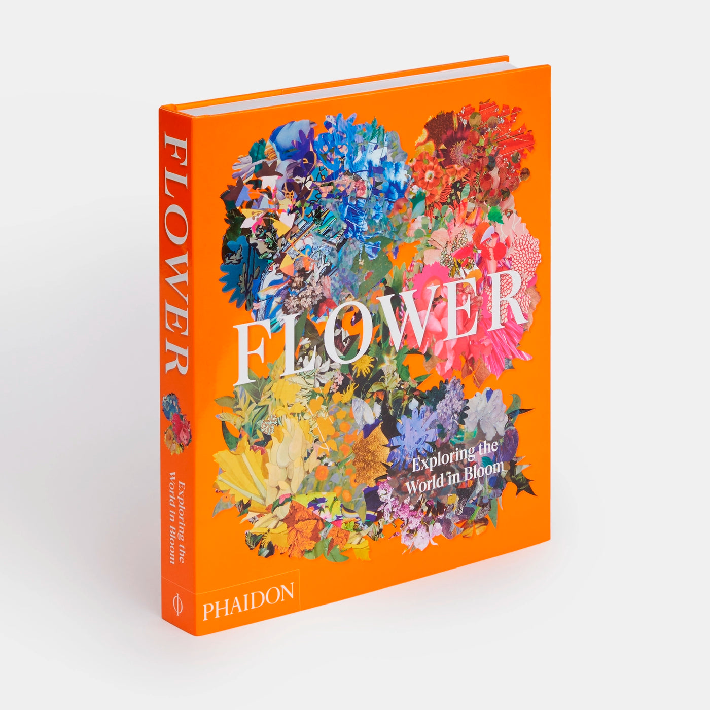 Flower: Exploring the World in Bloom