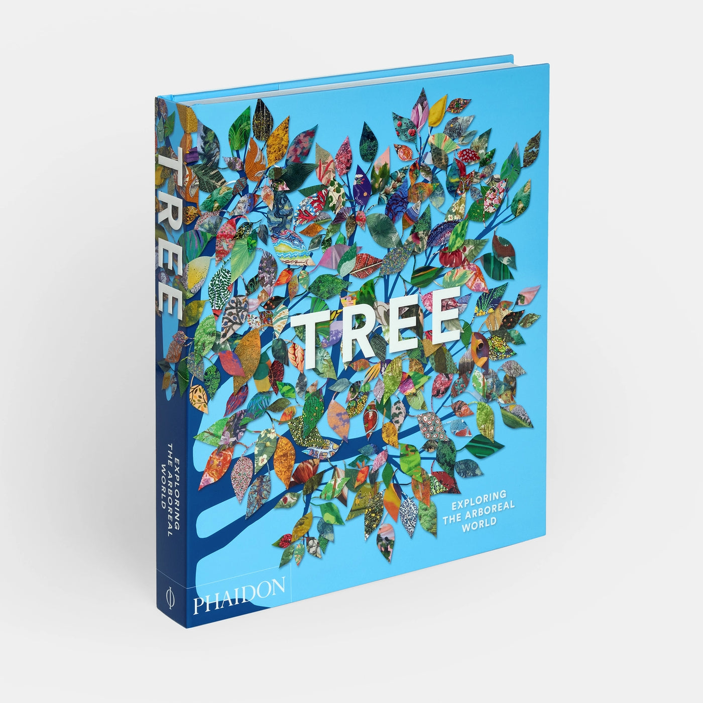 Tree: Exploring the Arboreal World