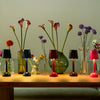 Scallop LED Lamps (Various Colors)