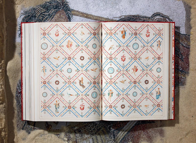 Houses and Monuments of Pompeii