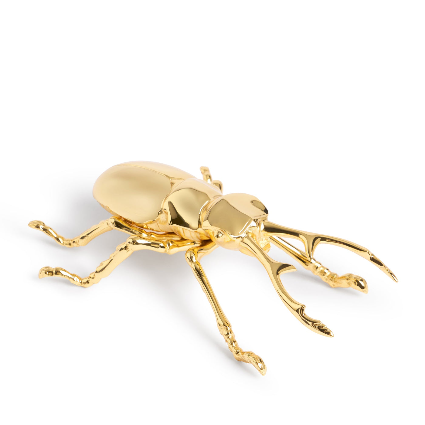 Longhorn Beetle Bottle Opener