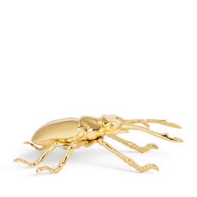 Longhorn Beetle Bottle Opener
