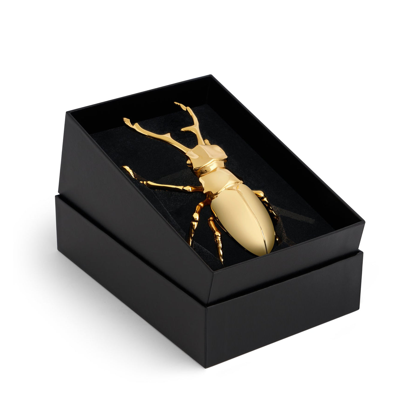 Longhorn Beetle Bottle Opener