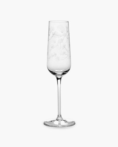 Champagne Flute Camelia Aubergine