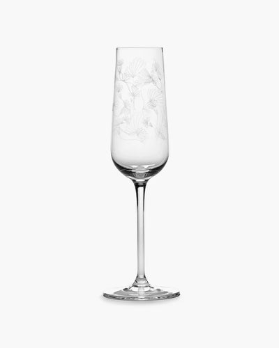 Champagne Flute Camelia Aubergine