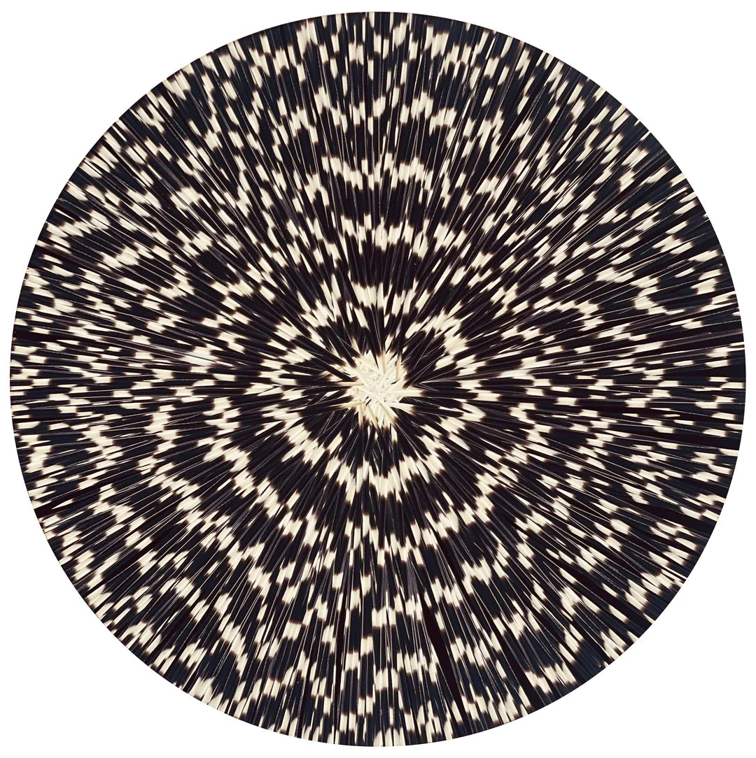 Porcupine Placemat