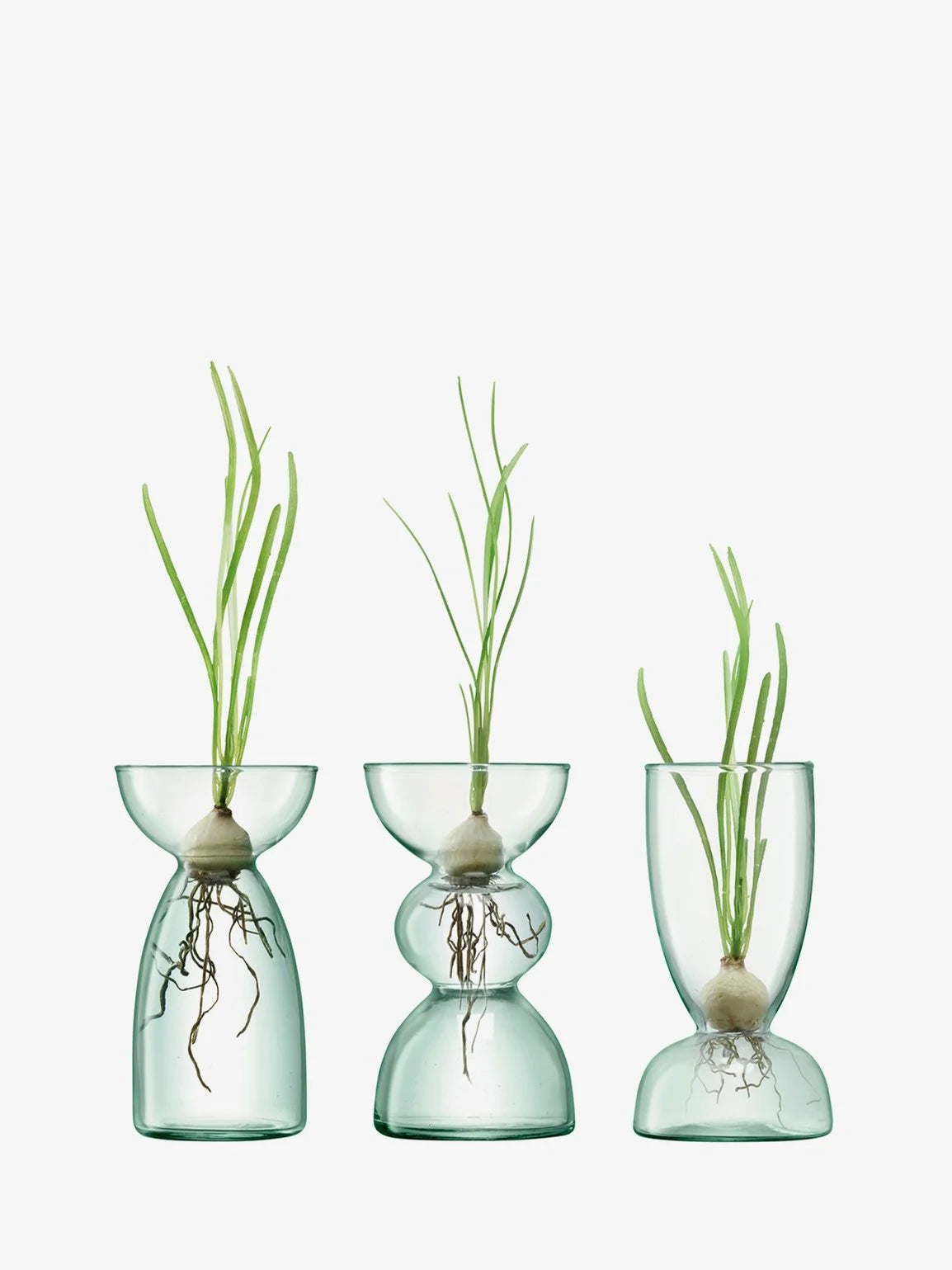 Small Canopy Vases