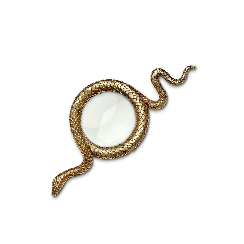 Small Snake Magnifying Glass