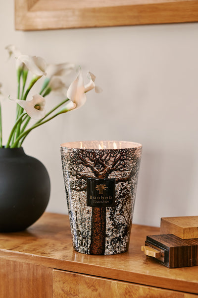 Sacred Trees Morondo Candle