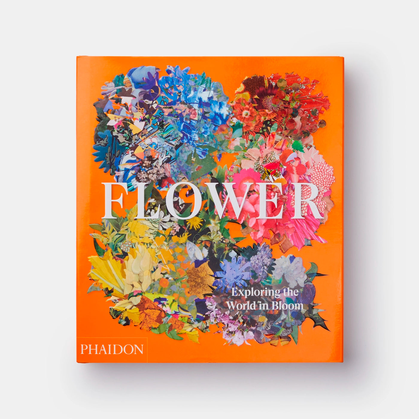 Flower: Exploring the World in Bloom