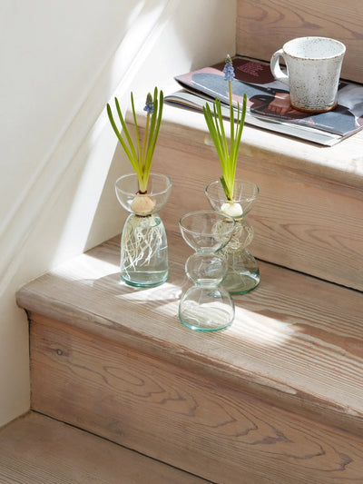 Small Canopy Vases