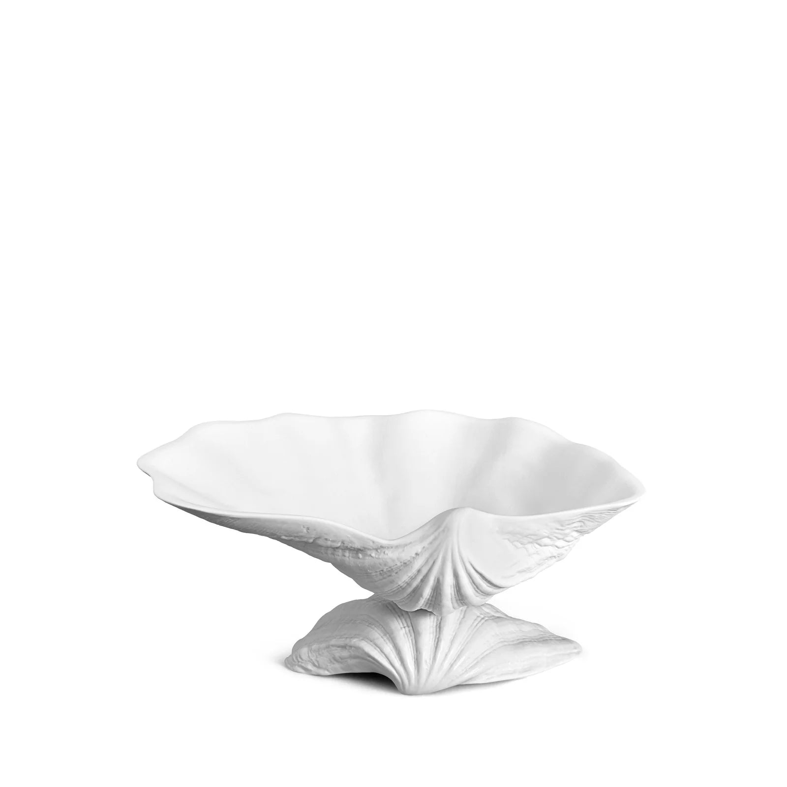 Neptune Shell Bowl – Odd McLean