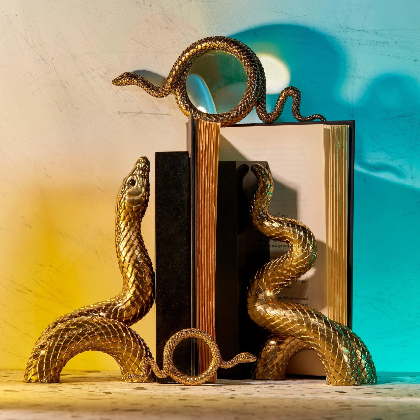 Small Snake Magnifying Glass