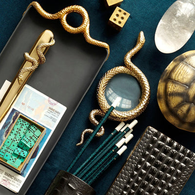 Small Snake Magnifying Glass