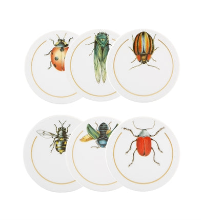 Insect Coasters