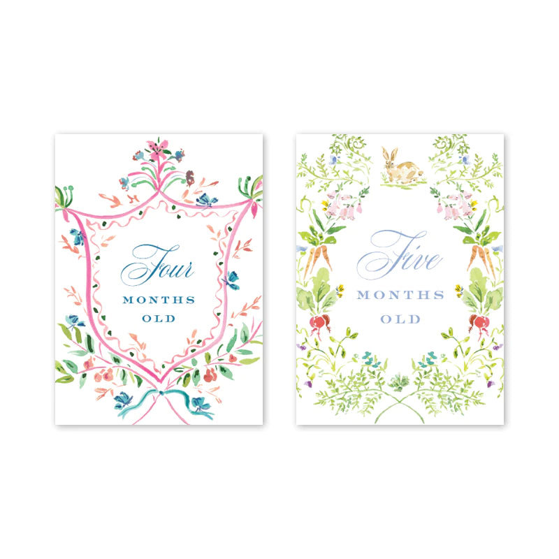 Baby Milestone Cards (Various Options)