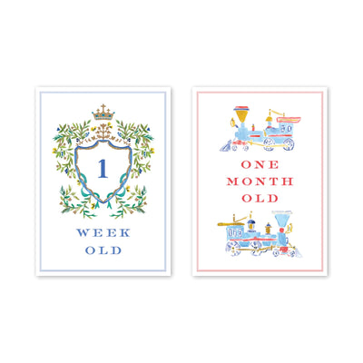 Baby Milestone Cards (Various Options)