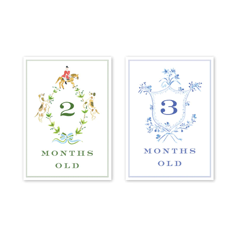 Baby Milestone Cards (Various Options)