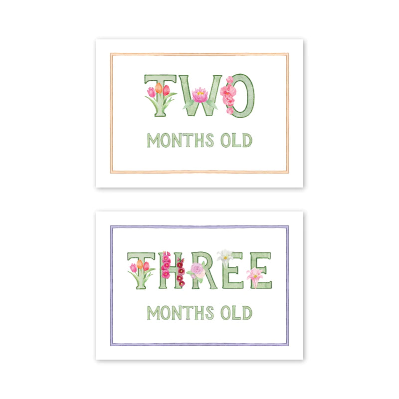 Baby Milestone Cards (Various Options)