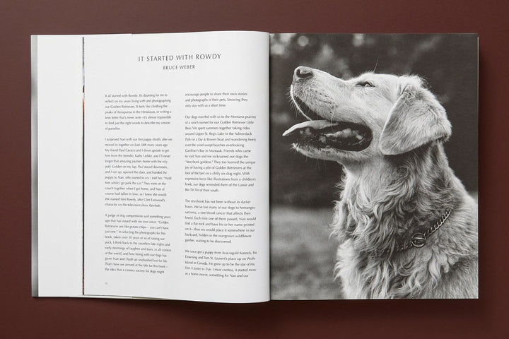 洋書 GOLDEN RETRIEVER PHOTOGRAPHIC SOCIEYT Bruce Weber. The Golden Retriever Photographic Society. Éditions