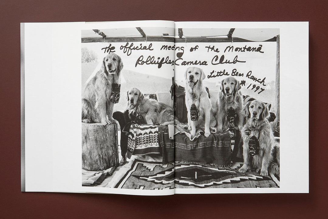 The Golden Retriever Photographic Society – Odd McLean